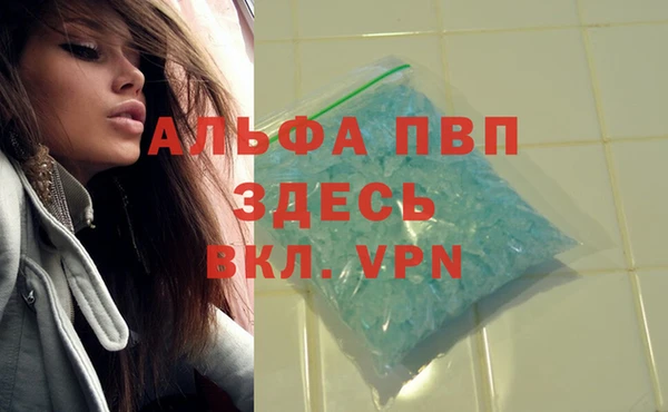 прущие грибы Богородск