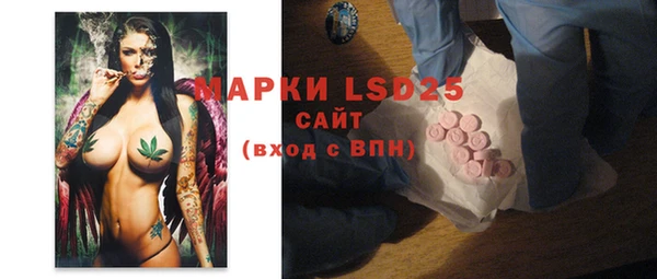 spice Богданович