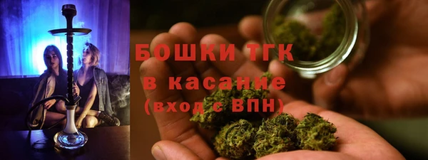 spice Богданович