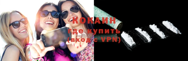 прущие грибы Богородск