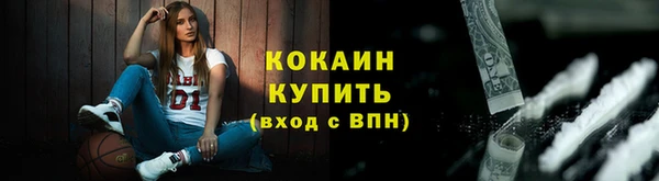 прущие грибы Богородск