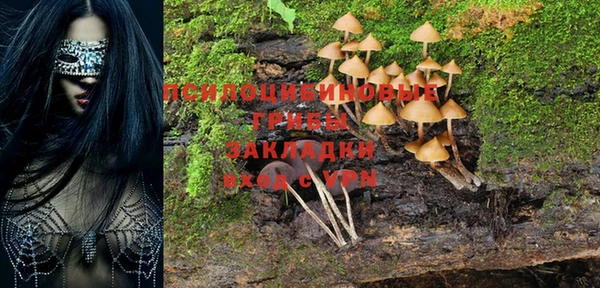 COCAINE Богородицк
