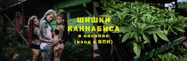 spice Богданович