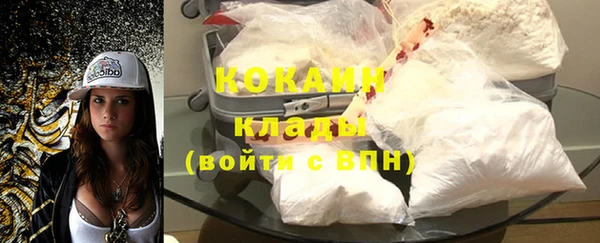 spice Богданович