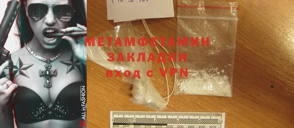 прущие грибы Богородск