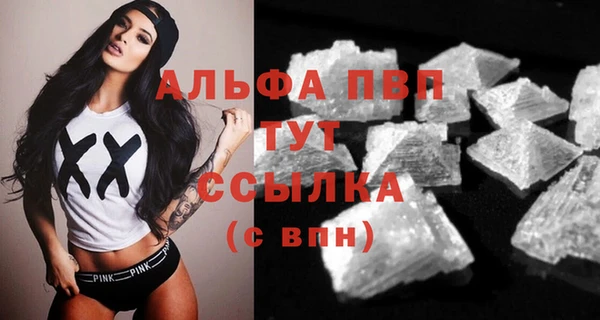spice Богданович