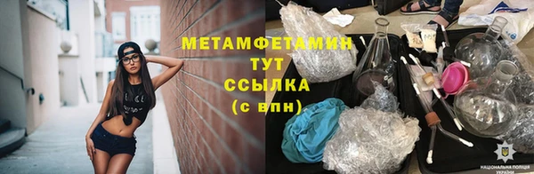 spice Богданович