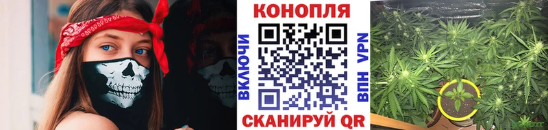 ссылка на мегу вход  Ачхой-Мартан  Бошки Шишки VHQ 